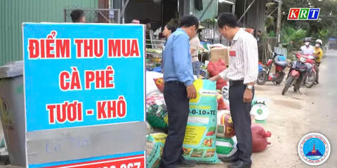 Tăng cường kiểm tra việc thu mua cà phê