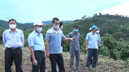 Ủy viên Trung ương Đảng, Bí thư Tỉnh ủy Dương Văn Trang thăm và làm việc tại Công ty TNHH Sản xuất chế biến nông lâm sản Nghĩa Phát
